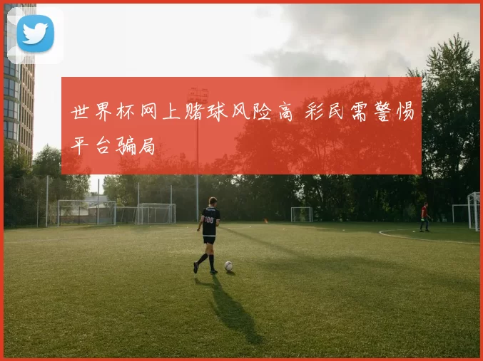 世界杯网上赌球风险高 彩民需警惕平台骗局