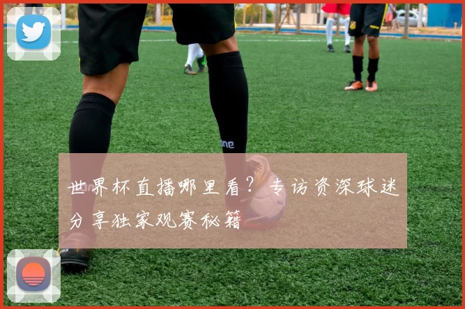 世界杯直播哪里看?专访资深球迷分享独家观赛秘籍
