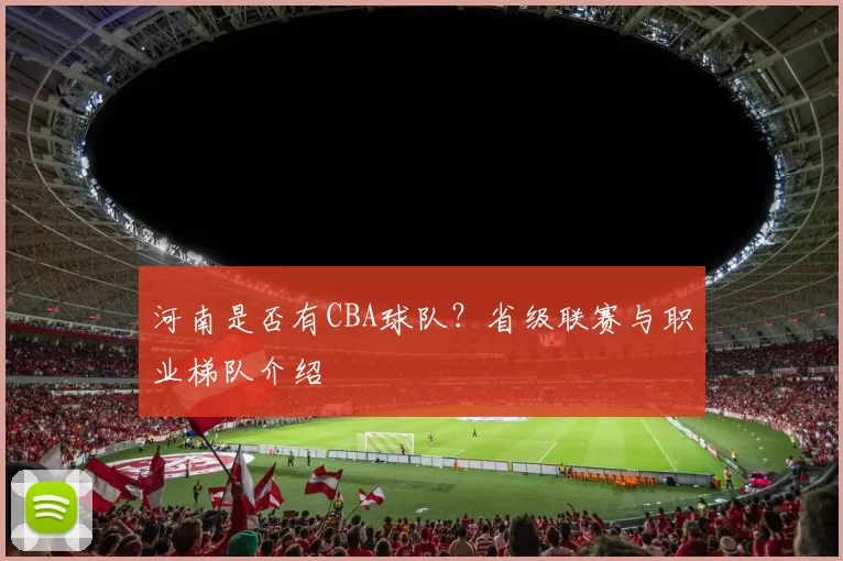 河南是否有CBA球队?省级联赛与职业梯队介绍