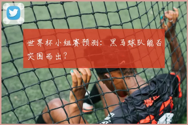 世界杯小组赛预测:黑马球队能否突围而出?
