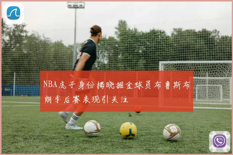 NBA虎子身份揭晓掘金球员布鲁斯布朗季后赛表现引关注