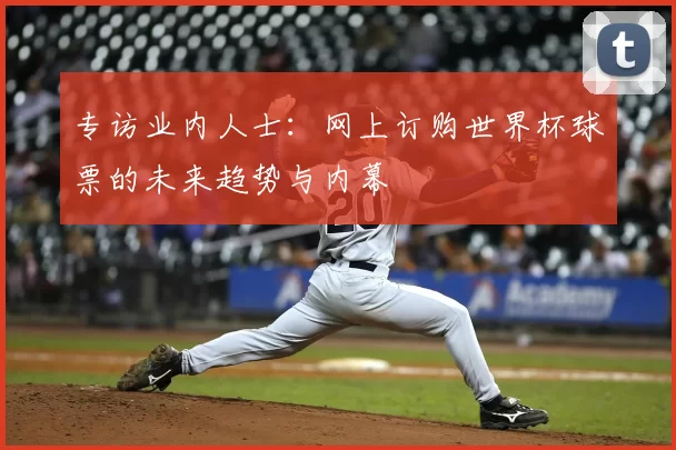 专访业内人士:网上订购世界杯球票的未来趋势与内幕