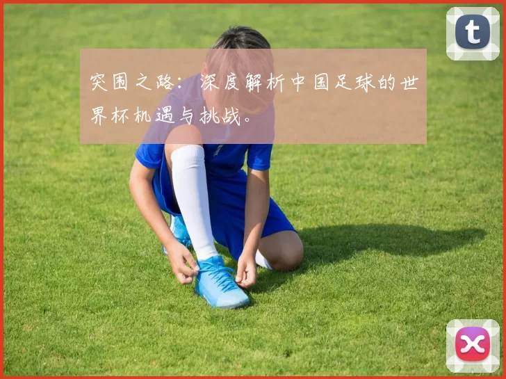 突围之路：深度解析中国足球的世界杯机遇与挑战。